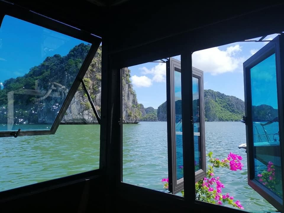 X-Stay Floating House có cây hoa giấy cạnh cửa sổ